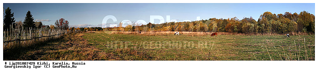 ������� �������, �������, �������, ����, �����, �������� �����, ������ �������, ����, �������, �������, ������� �����, ���, �����, �����, ������, ��������, ����, ����