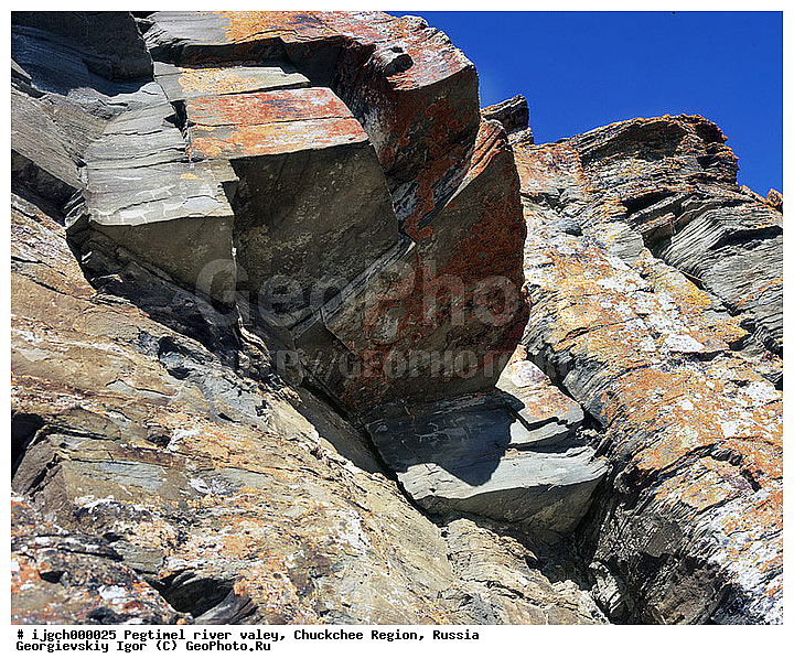 ������������ �����, ���������� ��������, ���������, �����, �������, ��������, ����������, �������, ���������, ����, ���������� �������, �����������, ����������, ���������� ���������, ������������, ��������, ����