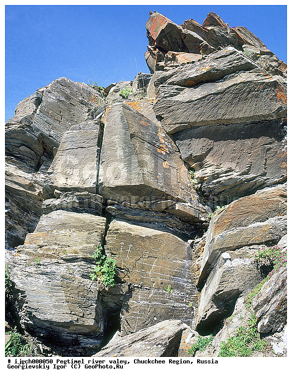 ������������ �����, ���������� ��������, ���������, �����, �������, ��������, ����������, �������, ���������, ����, ���������� �������, �����������, ����������, ���������� ���������, ������������, ��������, ����