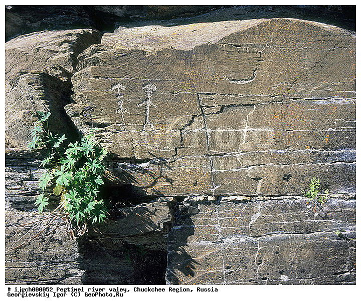 ������������ �����, ���������� ��������, ���������, �����, �������, ��������, ����������, �������, ���������, ����, ���������� �������, �����������, ����������, ���������� ���������, ������������, ��������, ����