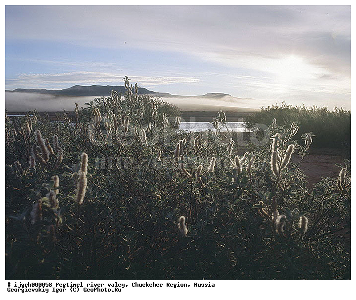 ��������, ������, ���������� ��������, ���������, �������, ������� ���, �������, ���������, ����, ���������� �������, ������, �����������, ����������, ������������