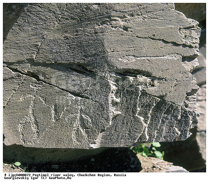 ������������ �����, ���������� ��������, ���������, �����, �������, ��������, ����������, �������, ���������, ����, ���������� �������, �����������, ����������, ���������� ���������, ������������, ��������, ����