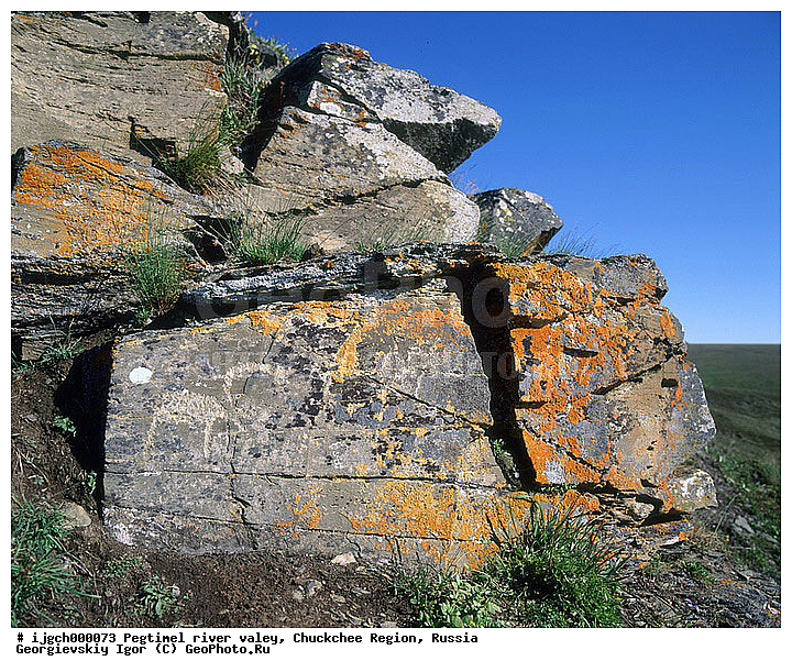 ������������ �����, ���������� ��������, ���������, �����, �������, ��������, ����������, �������, ���������, ����, ���������� �������, �����������, ����������, ���������� ���������, ������������, ��������, ����