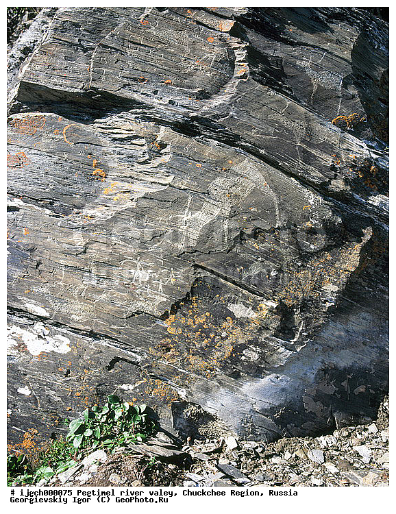 ������������ �����, ���������� ��������, ���������, �����, �������, ��������, ����������, �������, ���������, ����, ���������� �������, �����������, ����������, ���������� ���������, ������������, ��������, ����