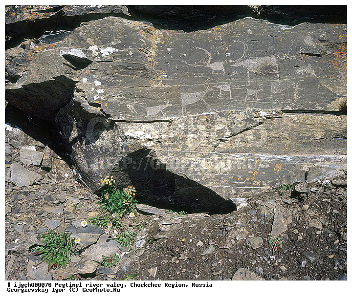 ������������ �����, ���������� ��������, ���������, �����, �������, ��������, ����������, �������, ���������, ����, ���������� �������, �����������, ����������, ���������� ���������, ������������, ��������, ����