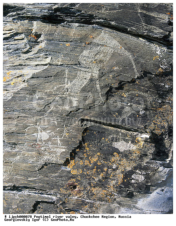 ������������ �����, ���������� ��������, ���������, �����, �������, ��������, ����������, �������, ���������, ����, ���������� �������, �����������, ����������, ���������� ���������, ������������, ��������, ����