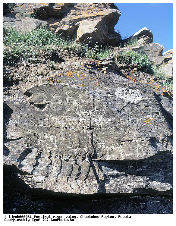 ������������ �����, ���������� ��������, ���������, �����, �������, ��������, ����������, �������, ���������, ����, ���������� �������, �����������, ����������, ���������� ���������, ������������, ��������, ����