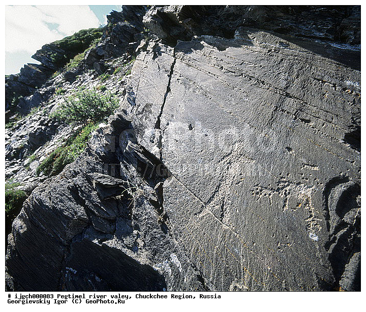 ������������ �����, ���������� ��������, ���������, �����, �������, ��������, ����������, �������, ���������, ����, ���������� �������, �����������, ����������, ���������� ���������, ������������, ��������, ����