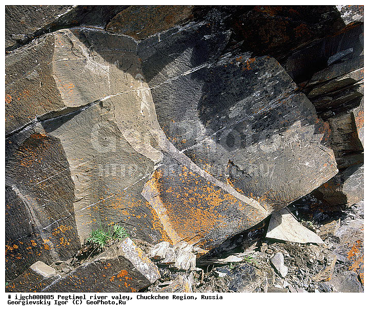 ������������ �����, ���������� ��������, ���������, �����, �������, ��������, ����������, �������, ���������, ����, ���������� �������, �����������, ����������, ���������� ���������, ������������, ��������, ����