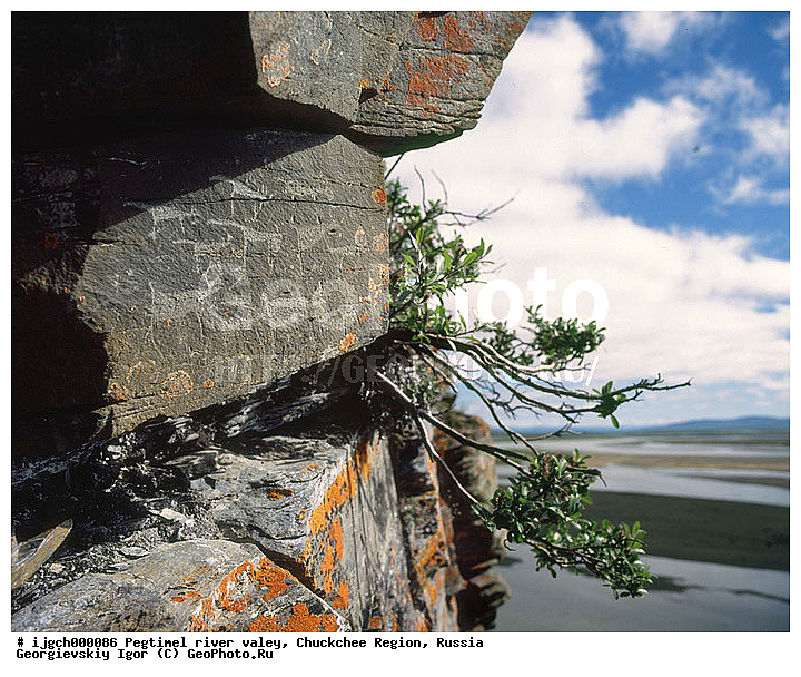 ������������ �����, ���������� ��������, ���������, �����, �������, ��������, ����������, �������, ���������, ����, ���������� �������, �����������, ����������, ���������� ���������, ������������, ��������, ����