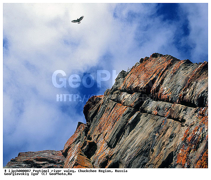 ������������ �����, ���������� ��������, ���������, �����, �������, ��������, ����������, �������, ���������, ����, ���������� �������, �����������, ����������, ���������� ���������, ������������, ��������, ����