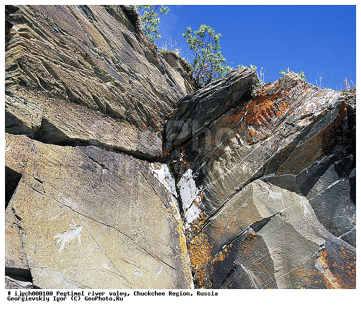 ������������ �����, ���������� ��������, ���������, �����, �������, ��������, ����������, �������, ���������, ����, ���������� �������, �����������, ����������, ���������� ���������, ������������, ��������, ����