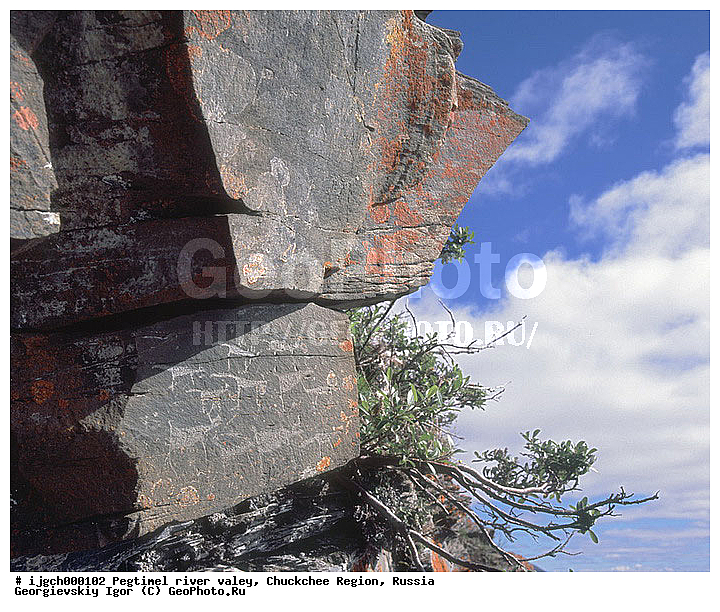 ������������ �����, ���������� ��������, ���������, �����, �������, ��������, ����������, �������, ���������, ����, ���������� �������, �����������, ����������, ���������� ���������, ������������, ��������, ����