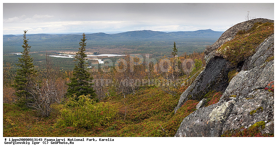 �������, �������, ������������, �������� �����, ������������ ����, ������, ���������, ��� � ����, ������, ���� ������, ��������, �����, �����