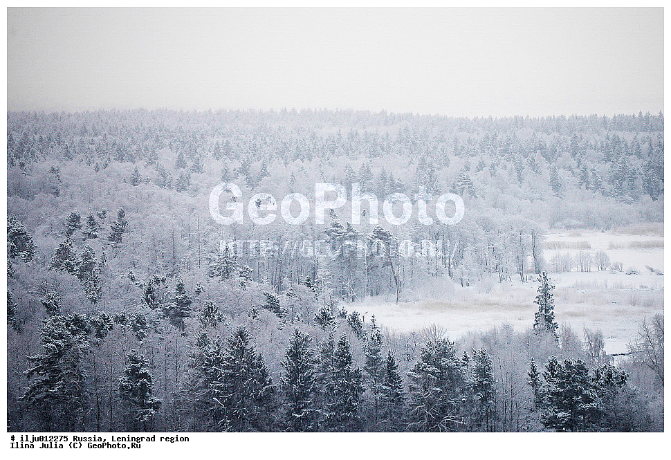 ������, ������������� �������, ����������, ����, ����, ���, ������� ����� ������, �������, ������, ������� ���, ����, ����� ���������, ������ ����, ������, ������� ���