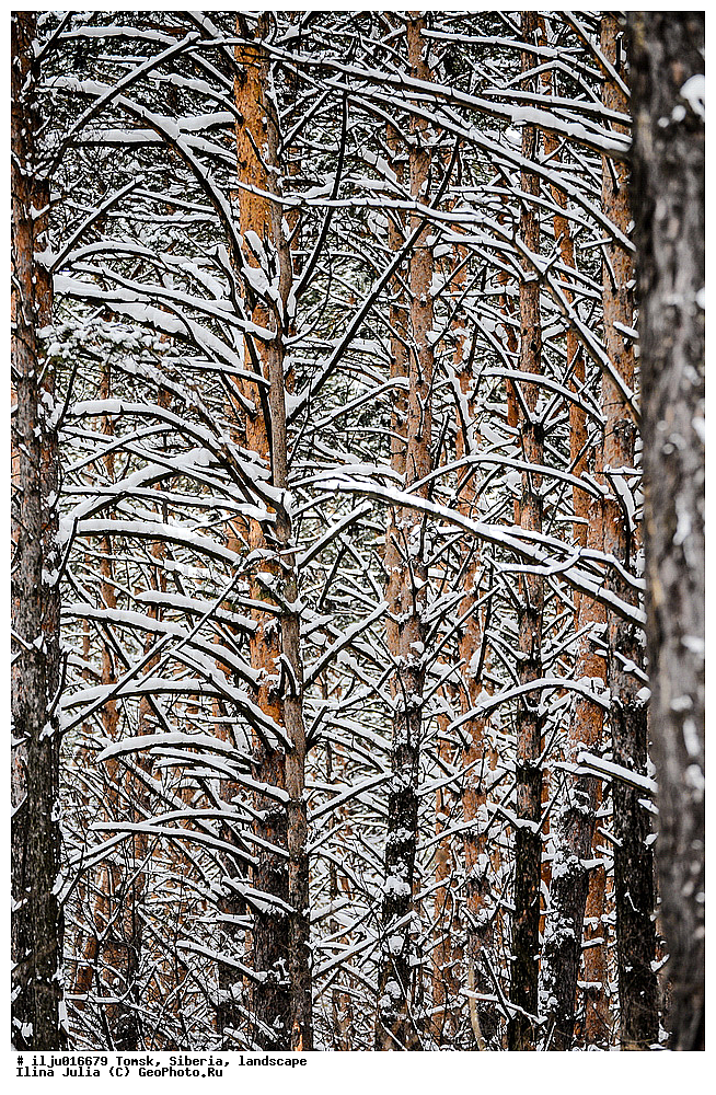 �����, ������, ������, ����, �����, �������� ���, ������, �������, �������, �����, ���, �������, ����, �������� ������, ��������