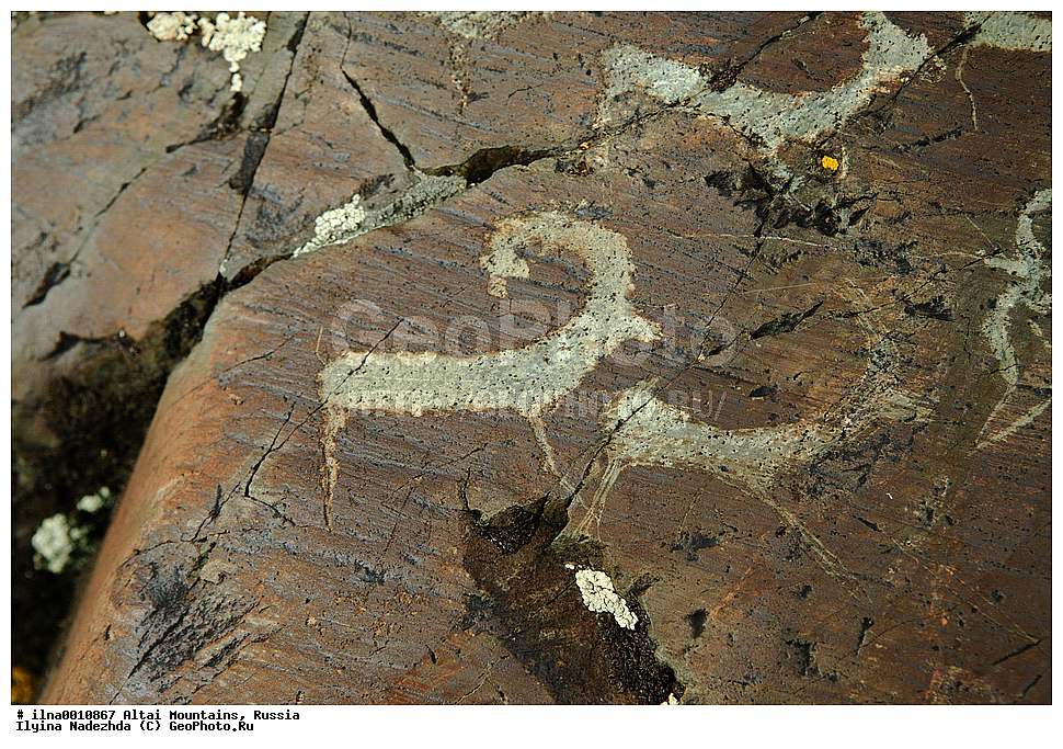 ������ �����, ������, ����������