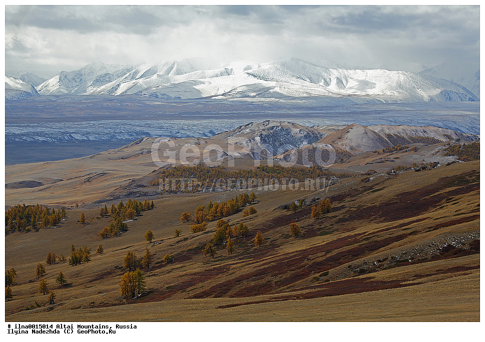 ������ �����, ������