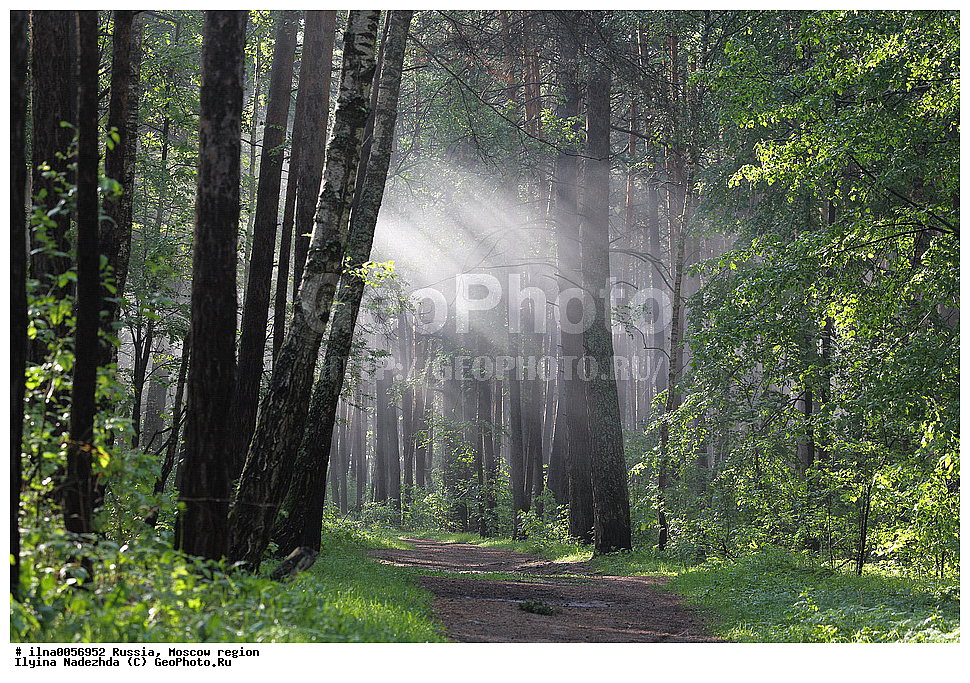 ������, �����������, �������, �������, �����, ����, ����, ����