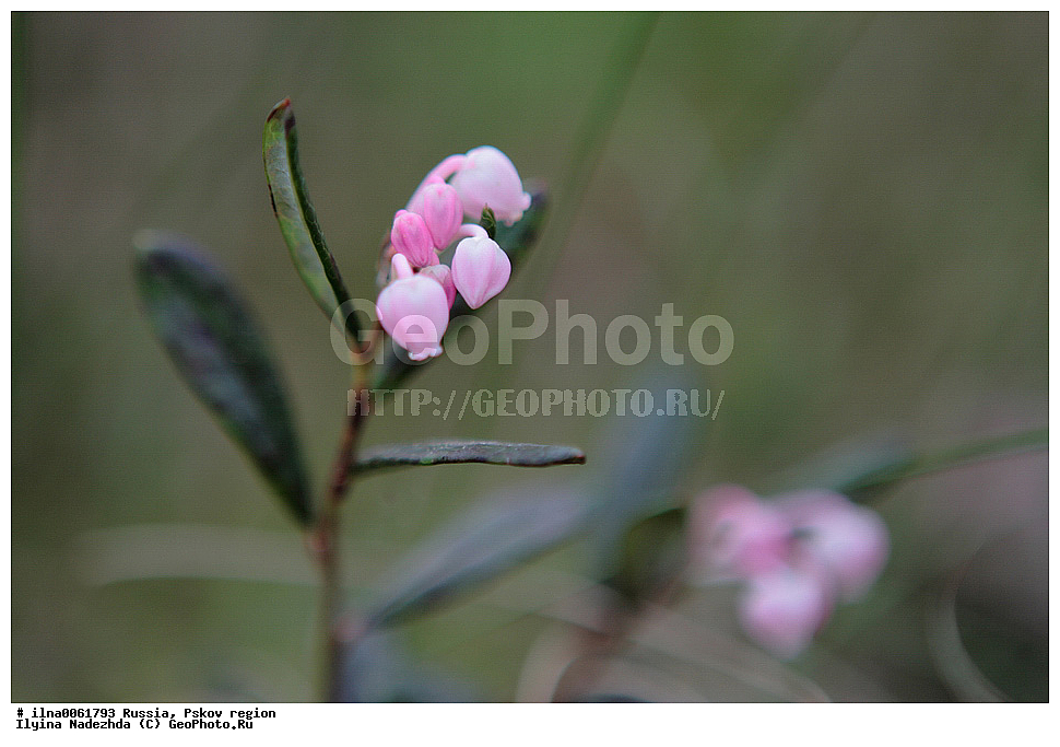 ������, ��������� �������, ������, �������, �������, �����������, �����������, ���������� ����, ��������, ����� ��������, ������ �����, ������ ��������, ��������, ���������� �����