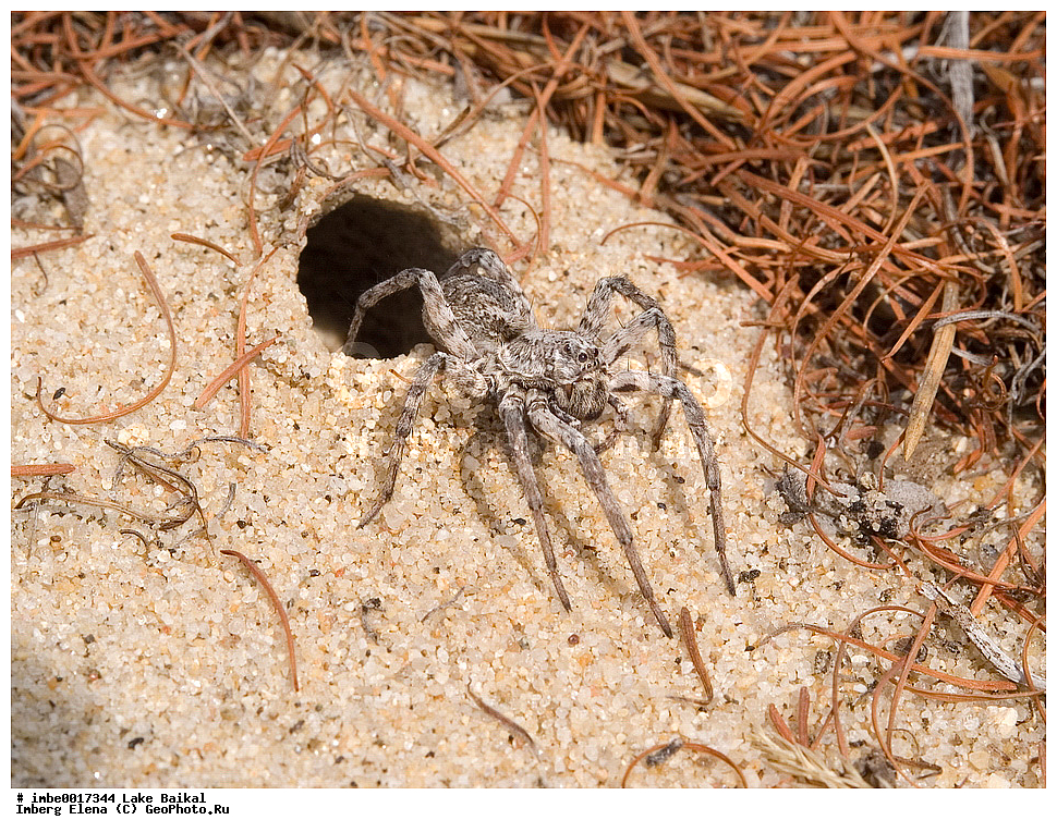 ����-����, �����, �����, �����, �����, ���������, �����, ��������������, �������������, ��������������