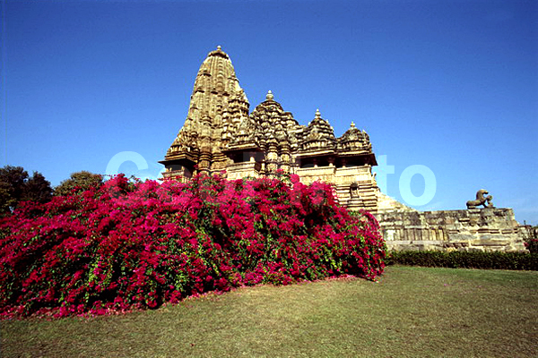 ����, �����, ��������, ���������, ����������, ������ ������, ��������, ���������, �����������