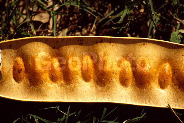 ����, �����, ��������, ���������, ����������, ������ ������, ��������, ���������, �����������