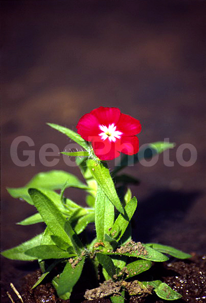 ����, �����, ��������, ���������, ����������, ������ ������, ��������, ���������, �����