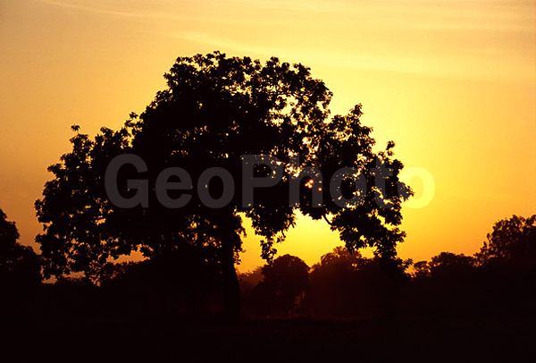 ����, �����, ��������, ���������, ����������, ������ ������, ��������, ���������, �����������, ������, �������