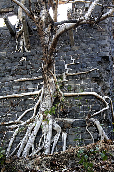 ����, ������, �����, ������, ������, ������ ��������