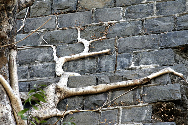 ����, ������, �����, ������, ������, ������ ��������