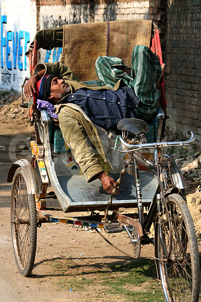 ��������, �����, �������, ����, ���������