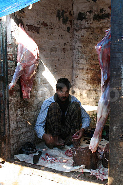 ��������, �����, �������, ����, ���������