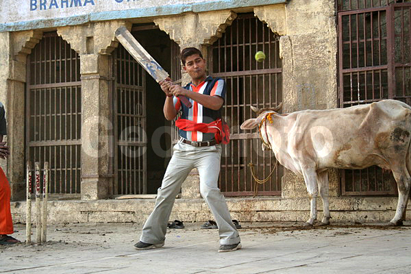 ��������, �����, ����, �����, �������, ������, ��������� �����