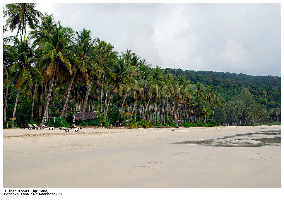 �������, ��������, �������, �����������, ��������, ����, �����, �������, ������, �����, ����������, ����, �������, ���������, �������, ������, ������,  ���������������������, �����������, ������, �������, ������