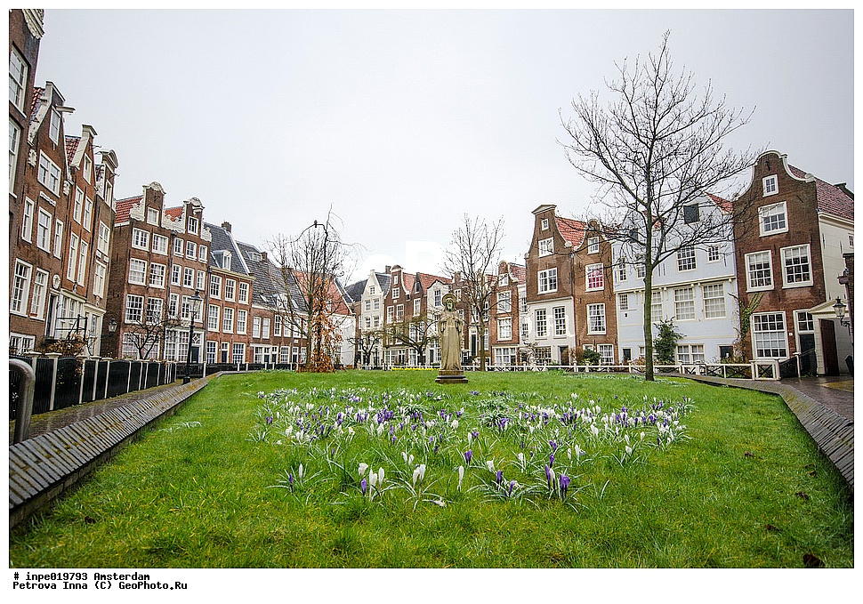 ���������, ���������, �����������, ����������, ������, ������, �����, �����������, ������, �����