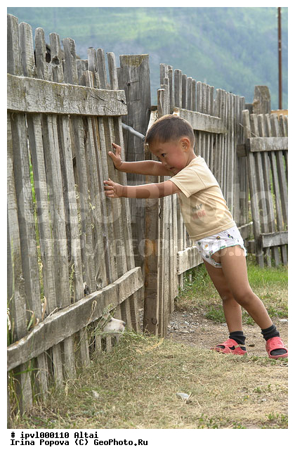 �����, ����, �������, ����� �����, �����, ����, ������, �������, �������� ���