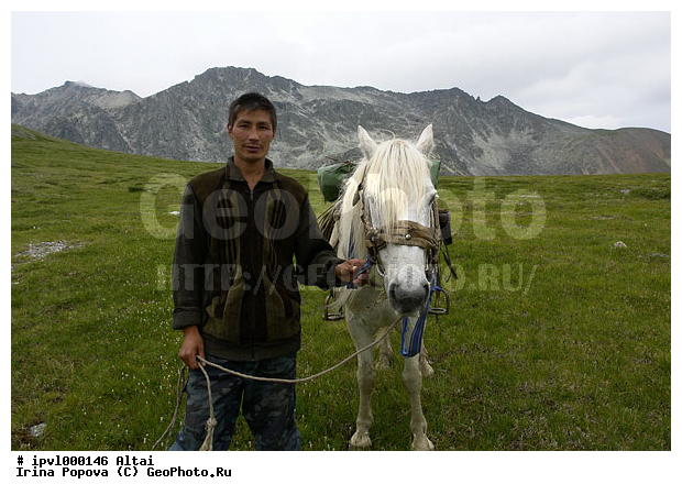 �����, ����, ������ ������� �����, ����, ������, ���, ����, ������, ��������, ��������, �������������, �������������, �����, �����, XYZ, ���������, Equidae, �������� ������, Equus ferus caballus