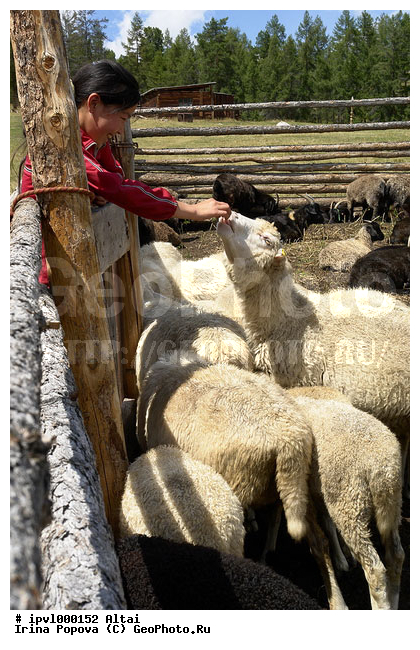 �����, �������, ����� �����, ����� ��� �����, ����, ���, ����, ����, ������������