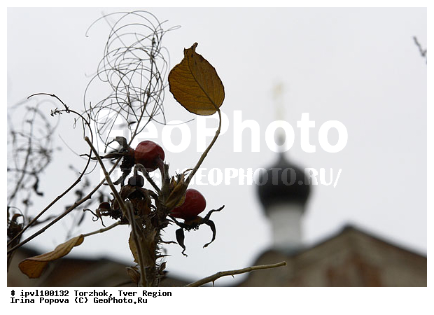 �������� �������, ������, �����, �����, ���������� �����, ���������, ����, �����������, ����, �������