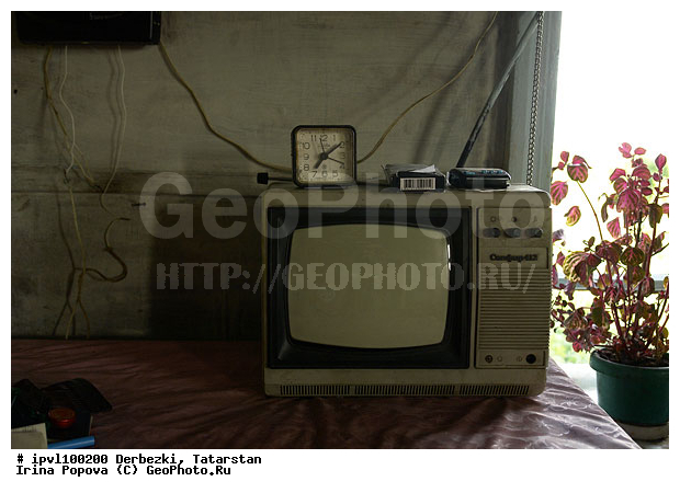 ��������, ���������, ����������� ���, ����������� ���, �������, ���������, ����