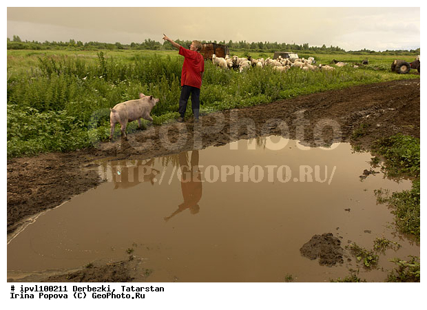 ��������, ���������, ��������, �����, ����������� ����������, �������, ������, ����, ����, ���������, ����, ���������, �����