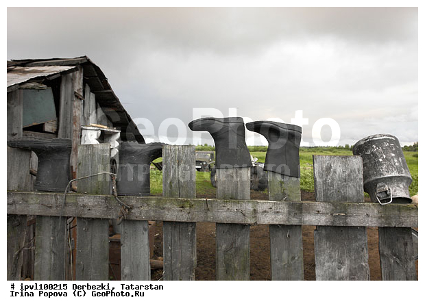 ��������, ���������, ����������� ���, �������, �����, ����, ������