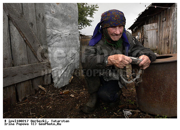 ��������, ���������, ����������� ����, �������, ������ ����������