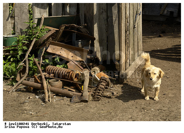 ��������, ���������, ����������� ����, �������, �����, ������, �����