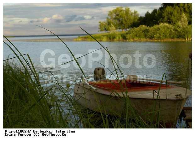 ��������, ���������, ��������, �������, ������, ������, �������� �����, ������, ��������