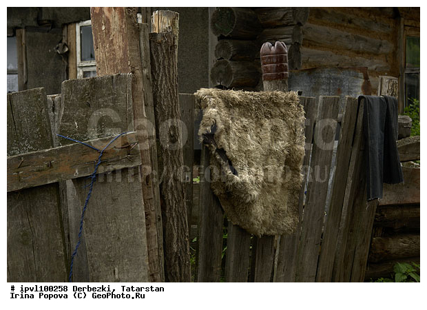 ��������, ���������, ��������, ����������� ���, ����������� ���, �������, �����, �����