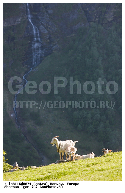 ��������������, ��������-�����, ������, ��������, �����������, �����, �����, �����