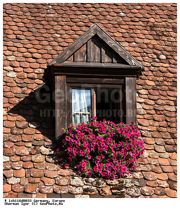 ��������, ������, ������������� ������, ������ ����, ������, ����, ��������������, ���������, ��������