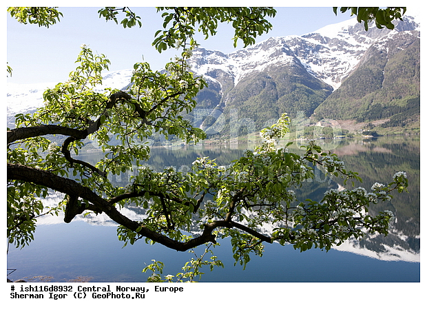 ������, ��������, �����������, ���������-�����, ��������������, �����, �����, �����